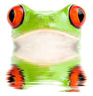 frog